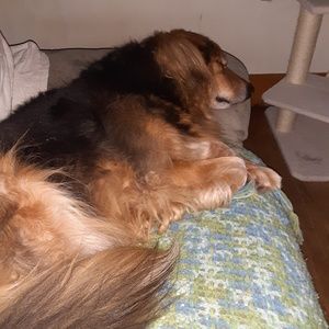 Meet your Posher, Paula